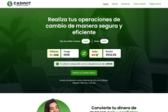 CASHVIT - Custom Fintech Web App